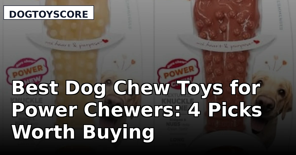 Best Dog Chew Toys for Power Chewers: 4 Picks Worth Buying