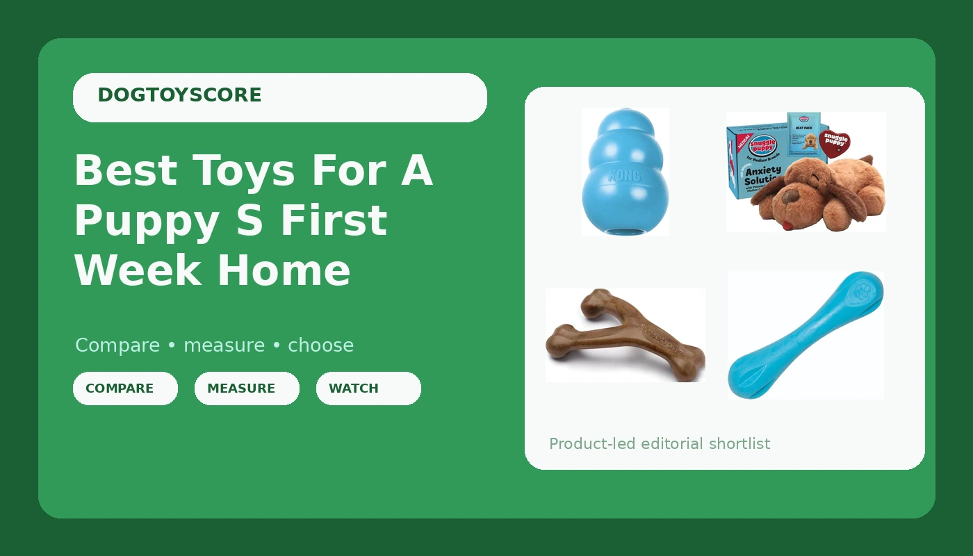 Best Toys For A Puppy S First Week Home - DogToyScore review with measurements and honest opinion
