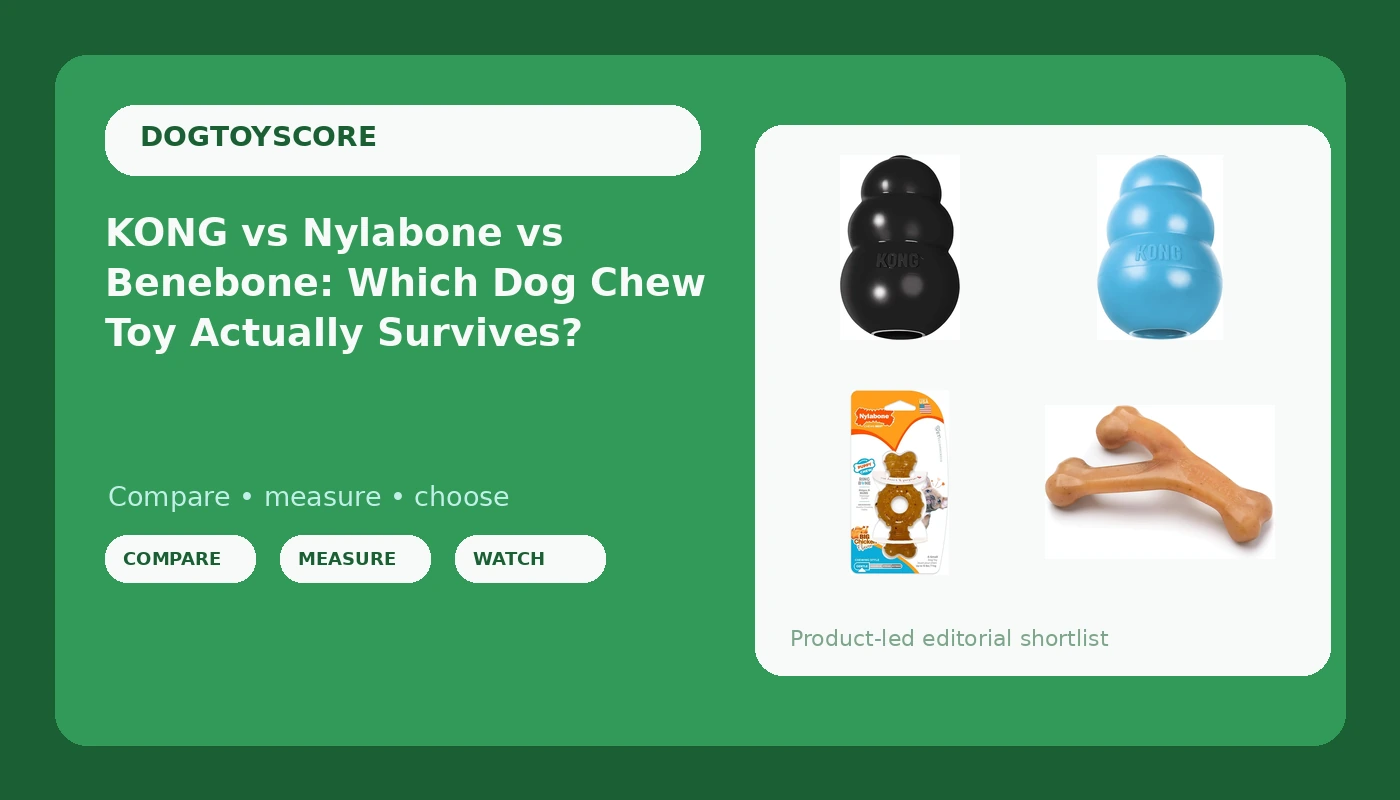KONG vs Nylabone vs Benebone: Which Dog Chew Toy Actually Survives?