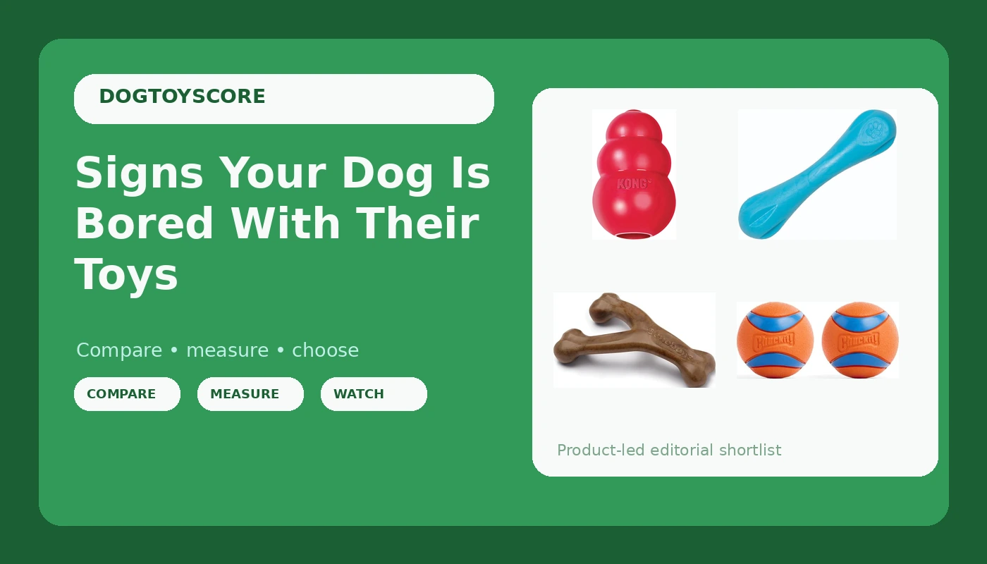 Signs Your Dog Is Bored With Their Toys - DogToyScore review with measurements and honest opinion